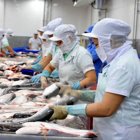 Food Processing — AQOZA